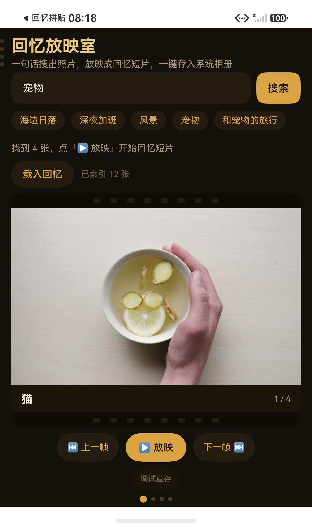 搜「宠物」：命中 4 张，待放映