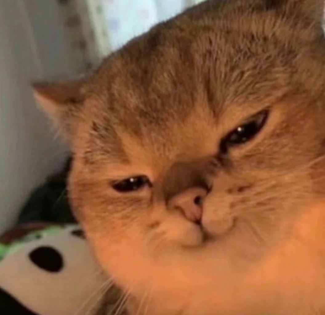 1753186756_687f81c442cd19bbdf05e.jpg!small?1753186757599