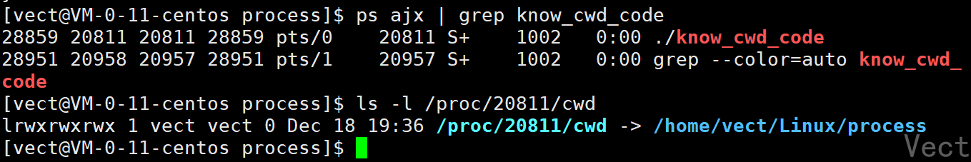 image-20251218193823959