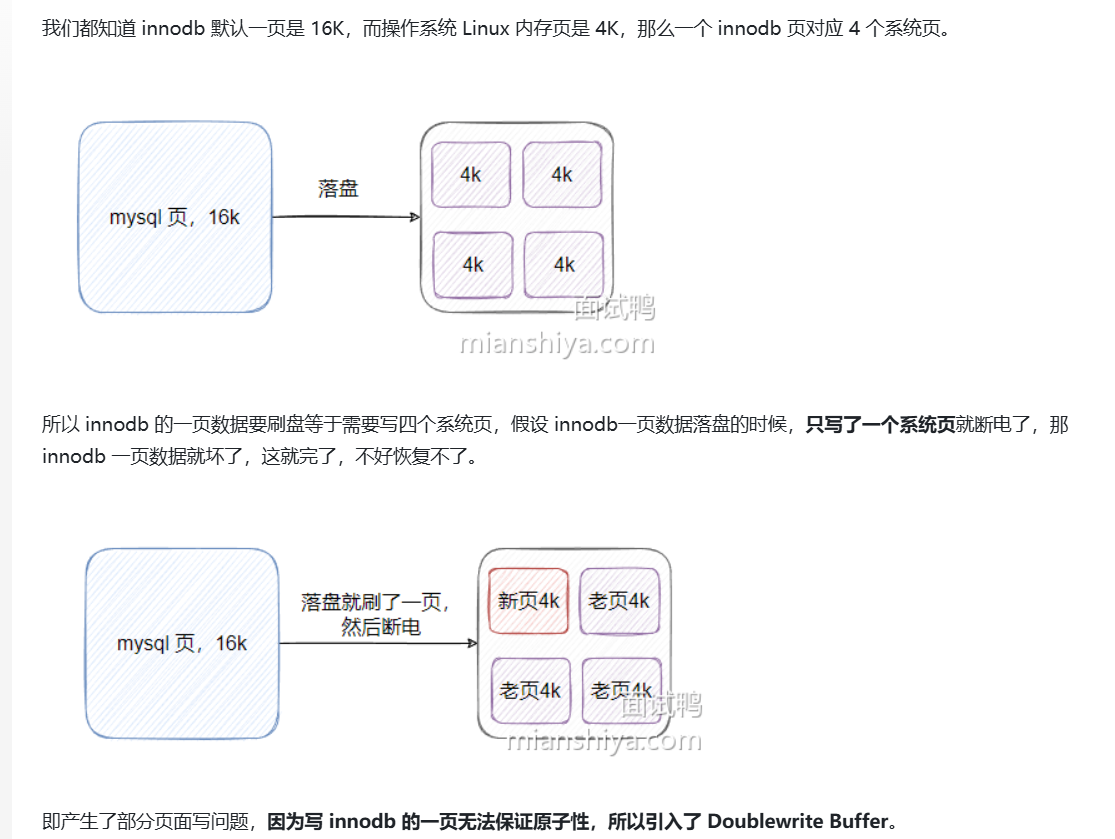 image-20250318093439759