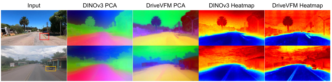 DriveVFM与DINOv3的补丁特征可视化,框出长尾障碍物