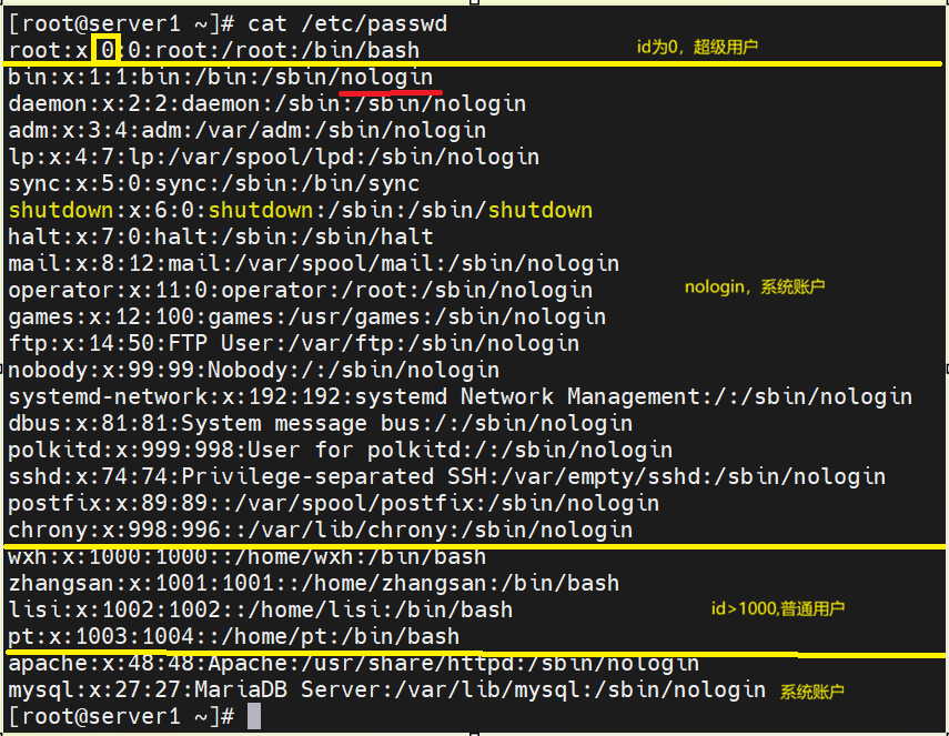 image-20260629145633033
