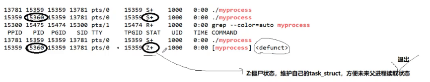 image-20241107104712448