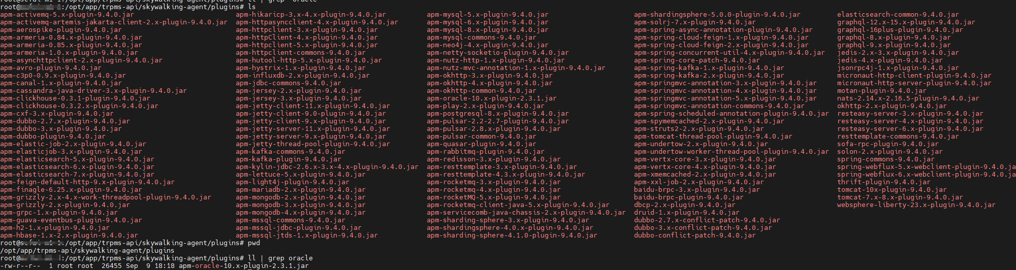 image-20250909181850691