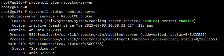 RabbitMQ 4.1集群部署与访问测试_RabbitMQ_10