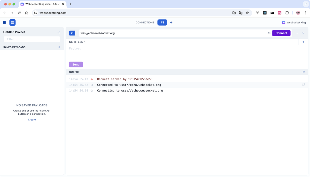 WebSocket King 界面