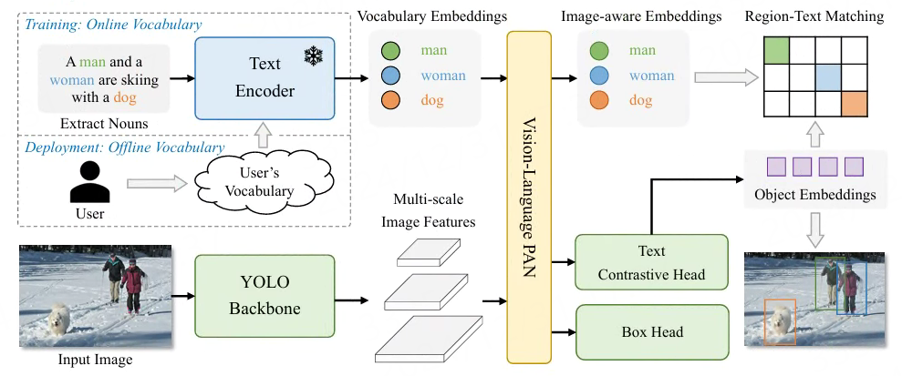 YOLO-World: Real-Time Open-Vocabulary Object Detection
