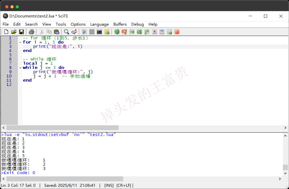 image-20250611210720625