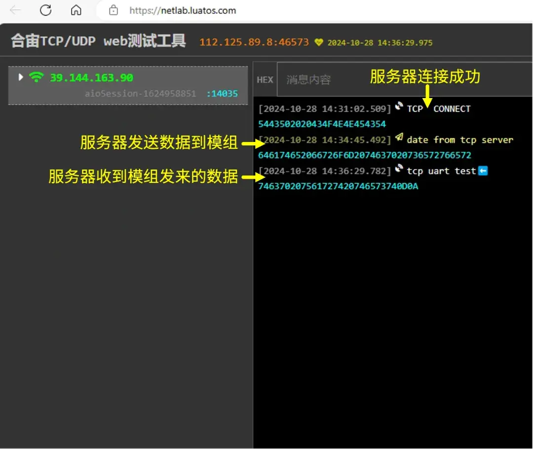 太牛了！Web端TCP/UDP测试工具_tcp在线测试
