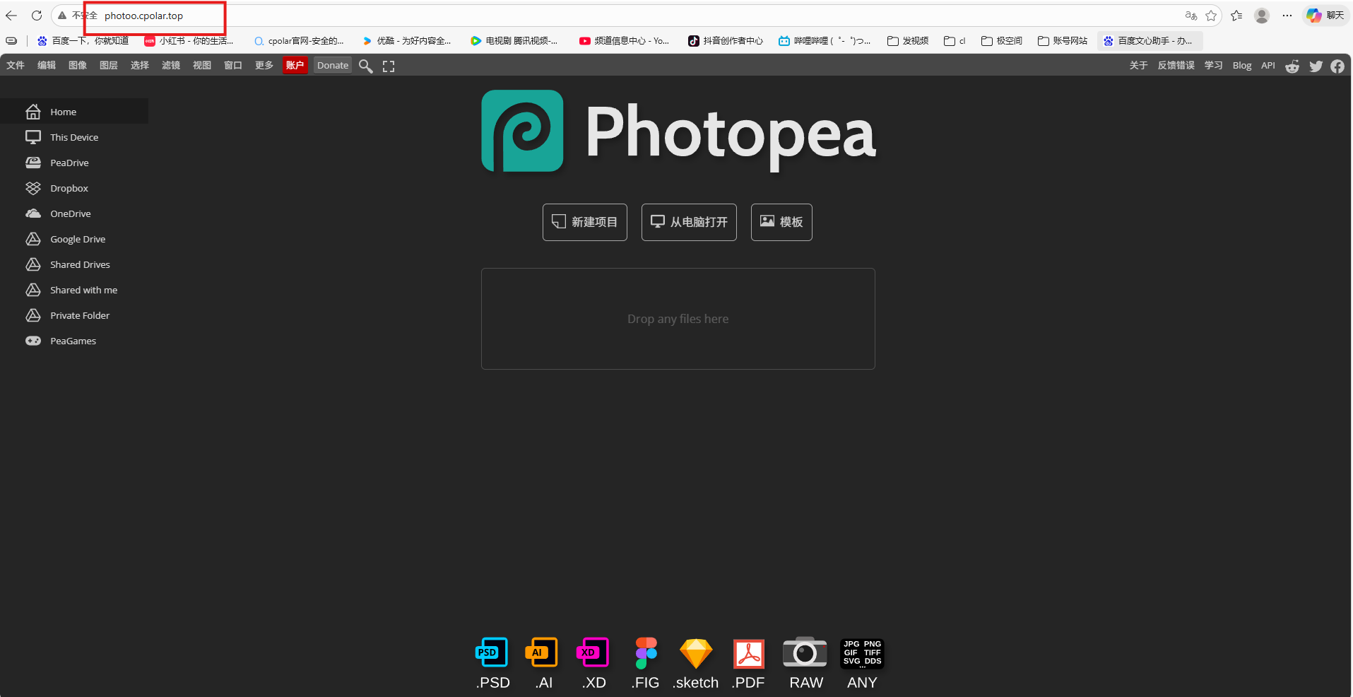 Accessing Photopea through the fixed domain