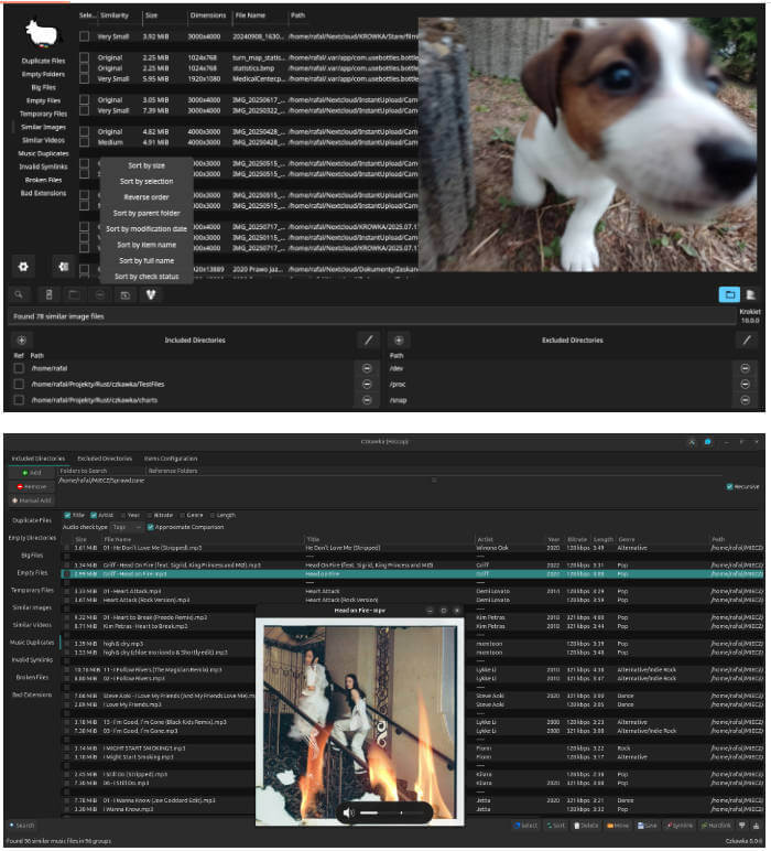 czkawka 项目介绍图