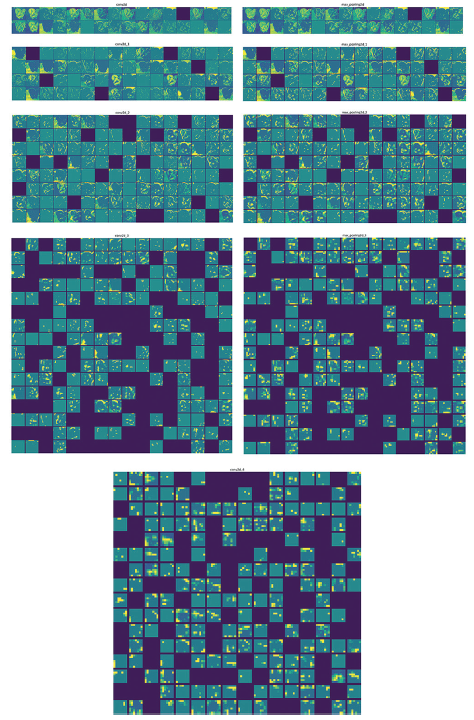 各层激活值可视化