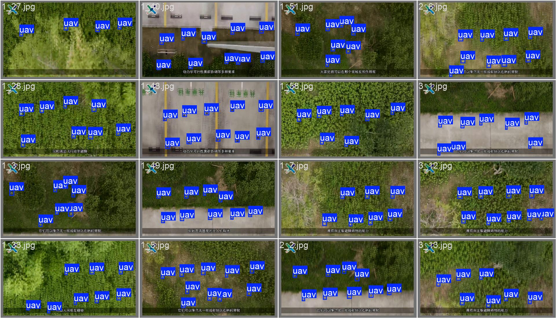 45-xin_val_batch1_labels