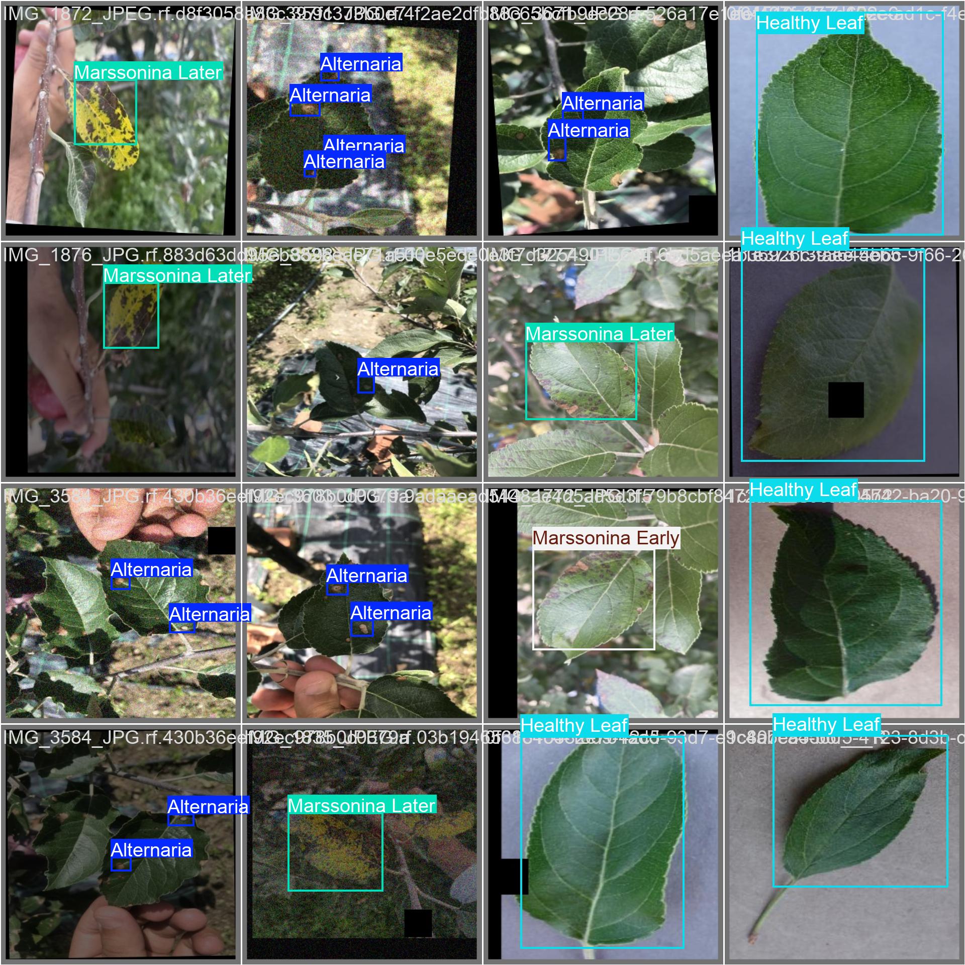 15_apple_disease_det-val_batch1_labels.jpg