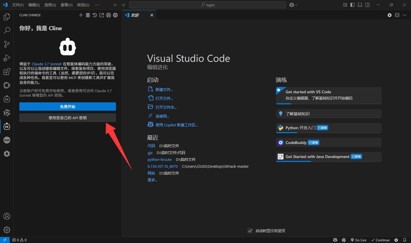 【2025最新】VSCode Cline插件配置教程