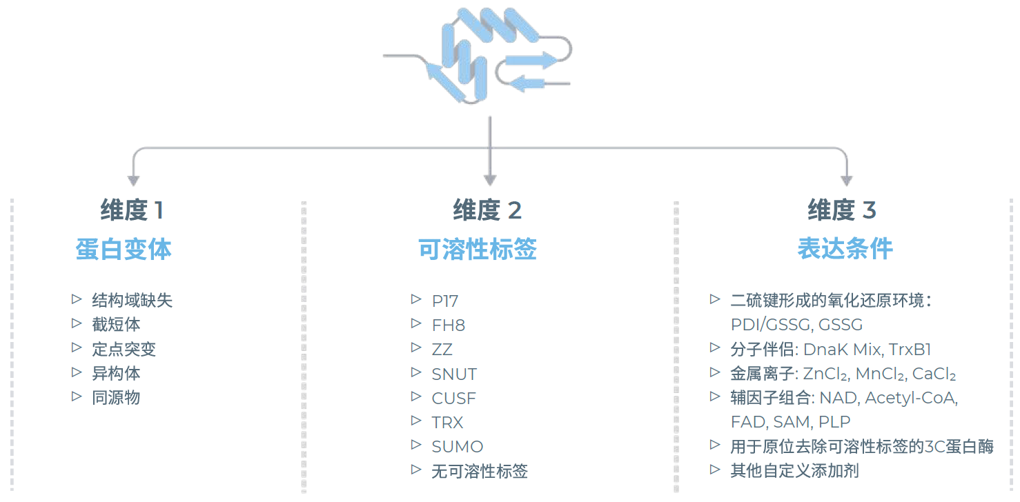 无细胞蛋白表达系统多重表达组合筛选