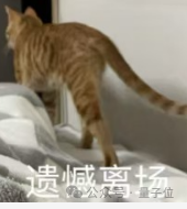 4b7b6b0e939a8d8615e903ae7f13055f.png