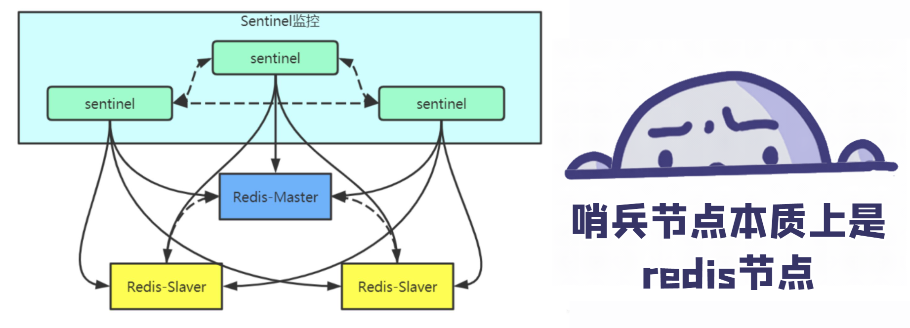 image-20211222181523362