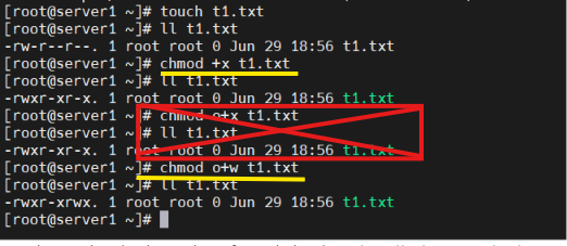 image-20260630103948762
