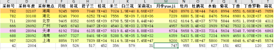 效果图
