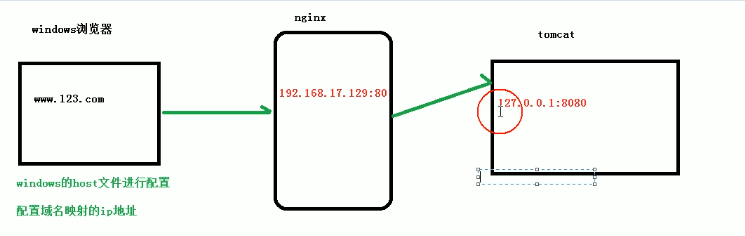 image-20240919121529823