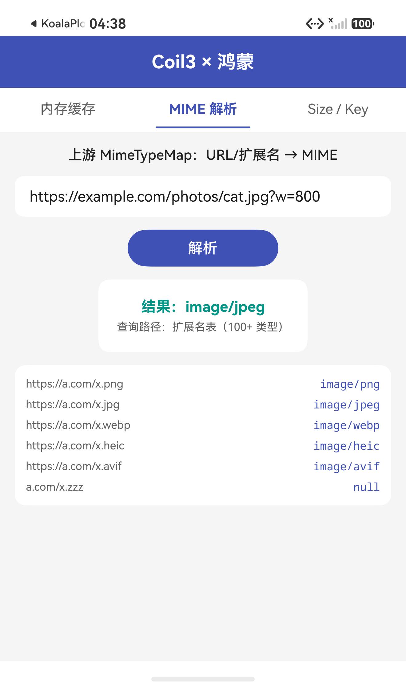 MIME 解析页