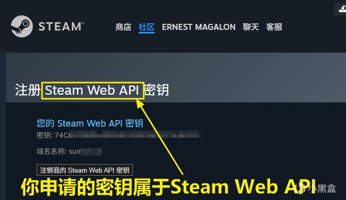 【硬核解析】Steam API劫持是怎么做到盗刷CS饰品的-CSDN博客