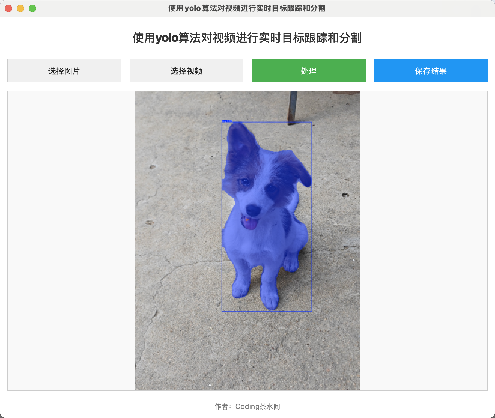 小狗分割效果