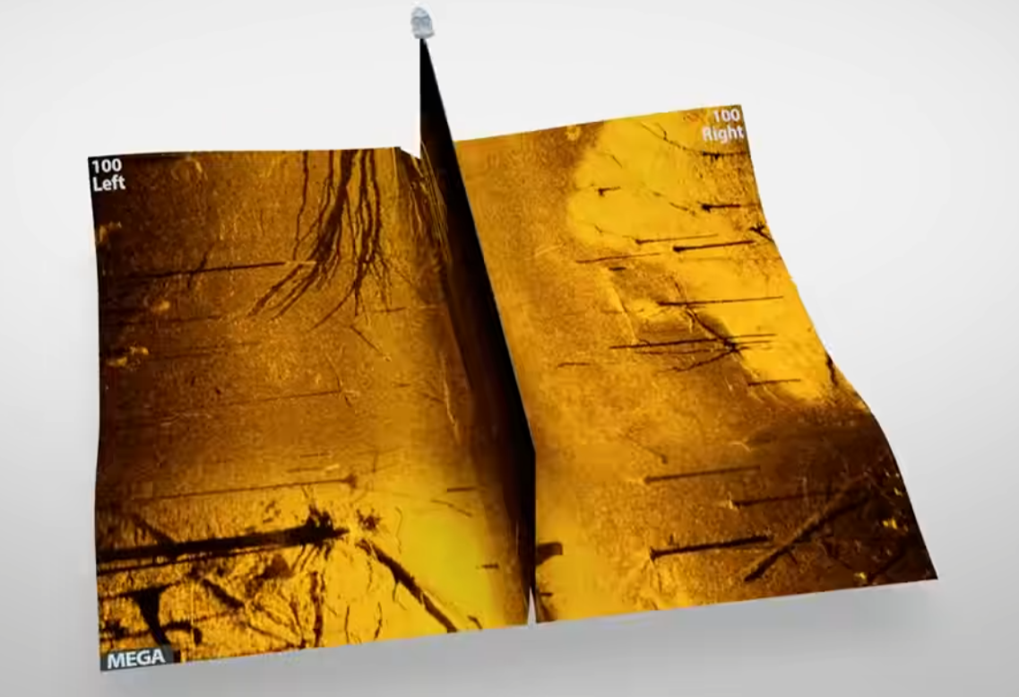 image-20251219182636470