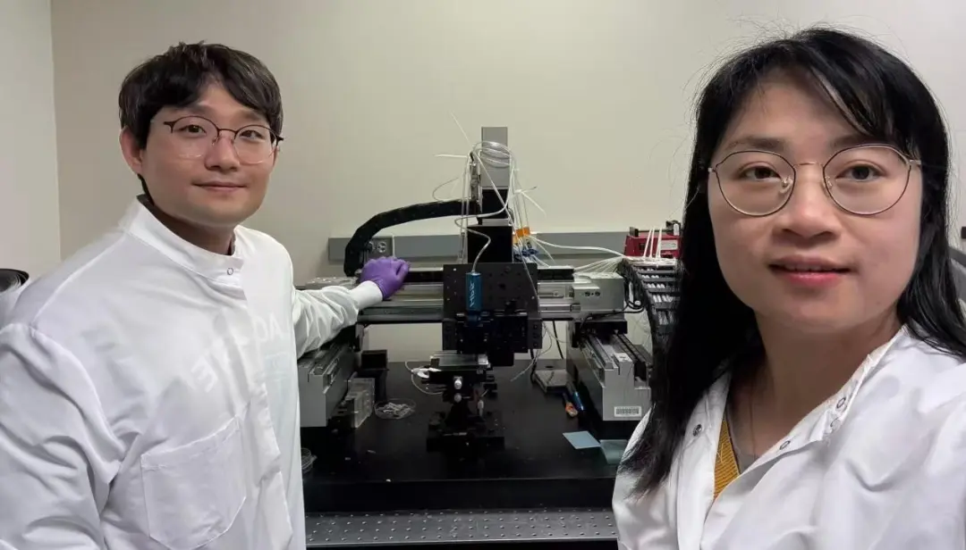 MIT团队发明可黏附神经的电子器件，解决植入器件纤维化难题