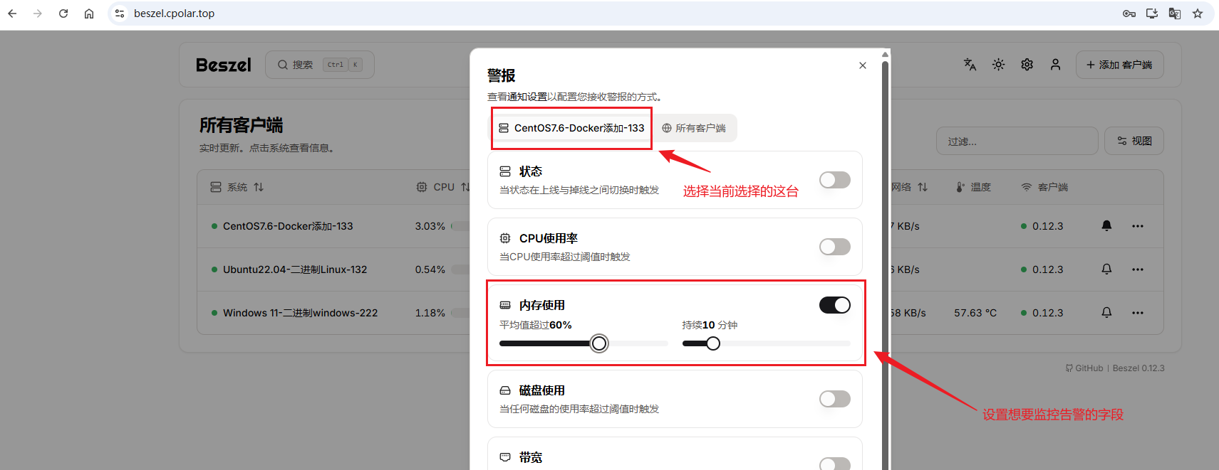 image-20250811120637666