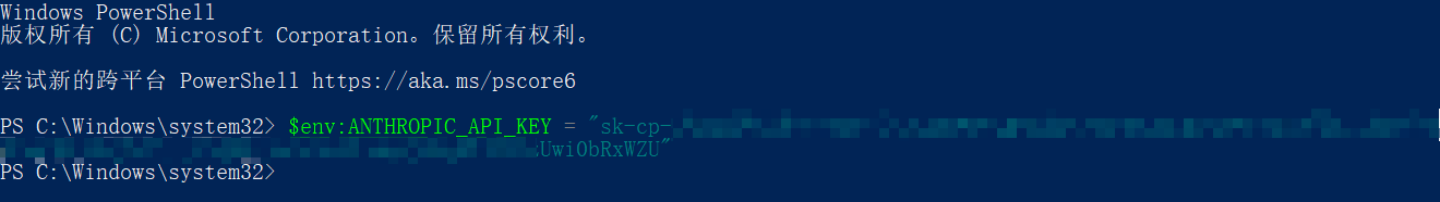 设置 API Key 环境变量