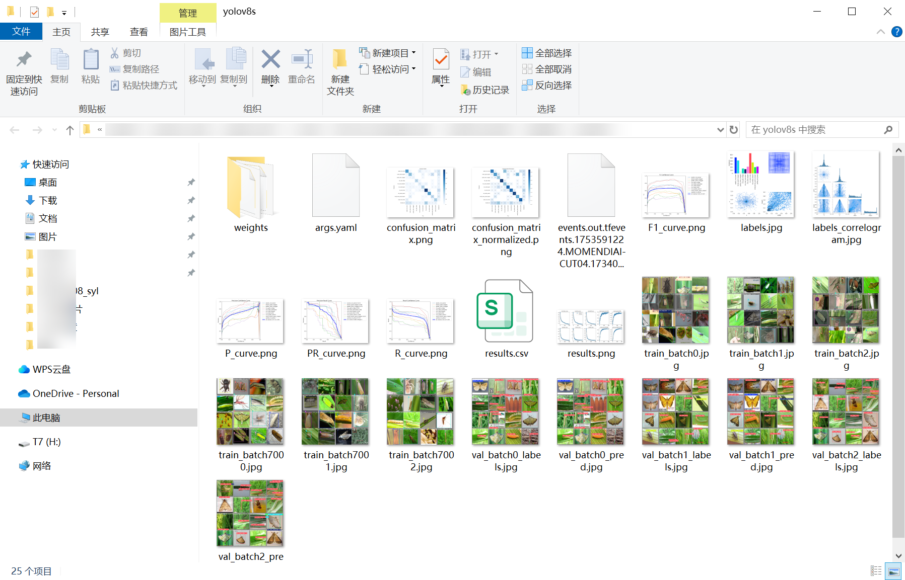 68_rich_chonghai_det-weights_folder_screenshot.png