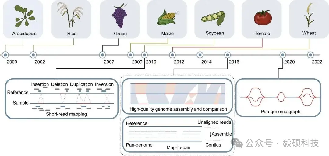 图5 植物参考基因组构建(上)和植物泛基因组表征方法(下)的主要事件时间线
