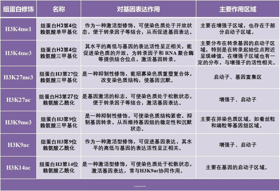 WPS图片(1).jpg