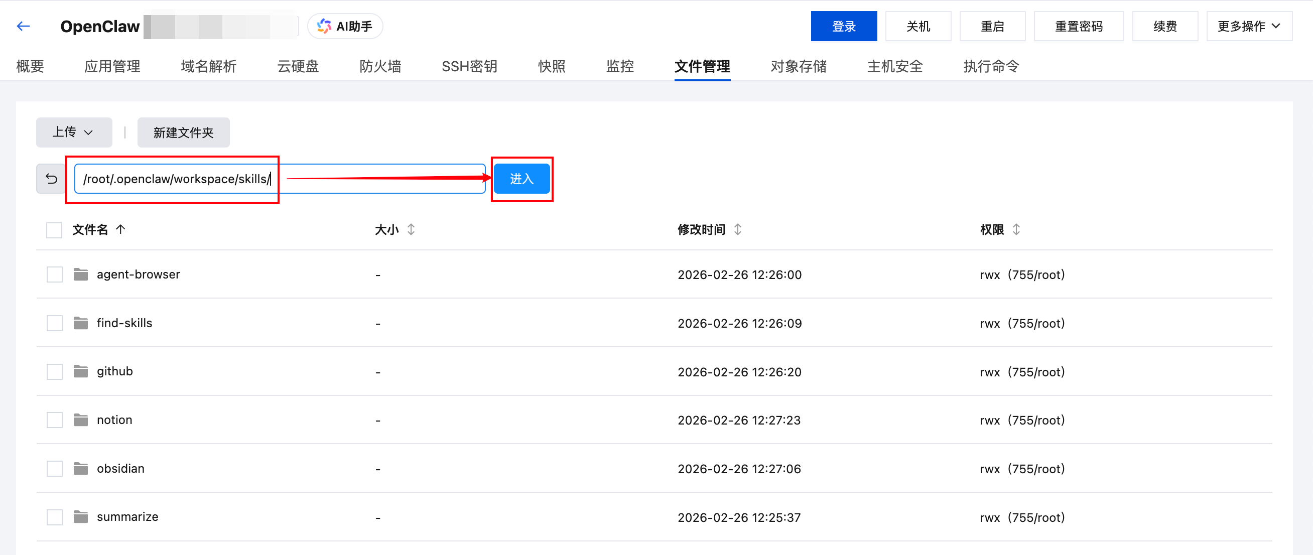 Skills目录路径