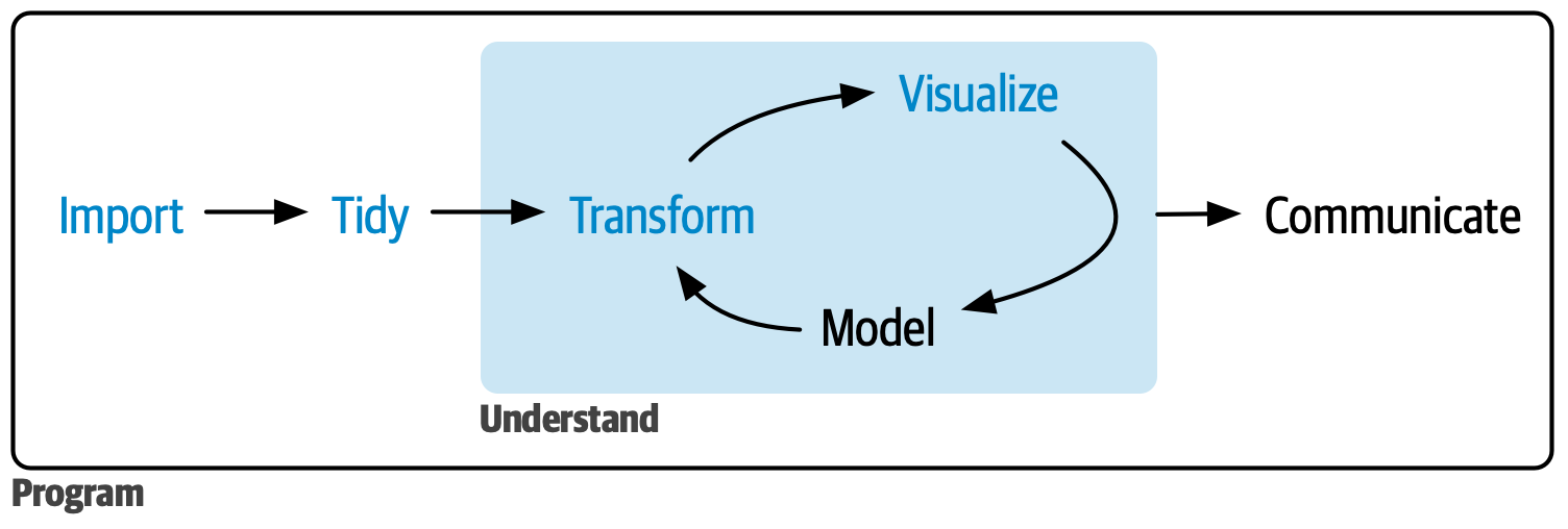 Figure 1: 在本书的这一部分，您将学习如何导入（import）、整理（tidy）、转换（transform）、可视化（visualize）数据。