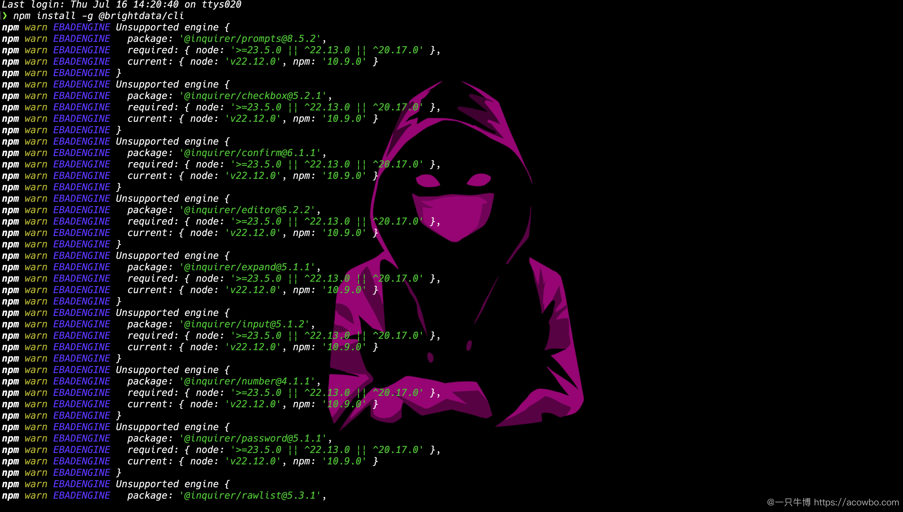 Bright Data CLI 安装完成