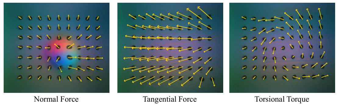 RDP Fig.3