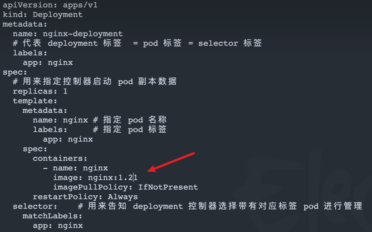 image-20251123162958794