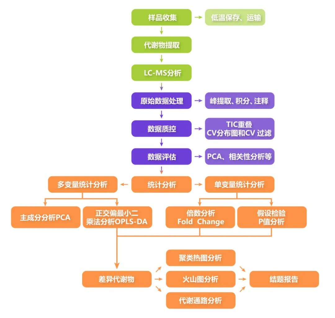 代谢组技术路线.jpg