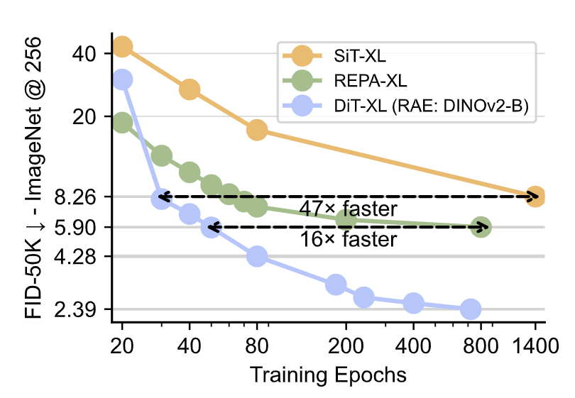图8:RAE 实验结果,比 SiT 或者 REPA 收敛速度更快