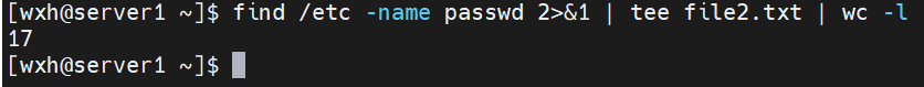 image-20260623191304869