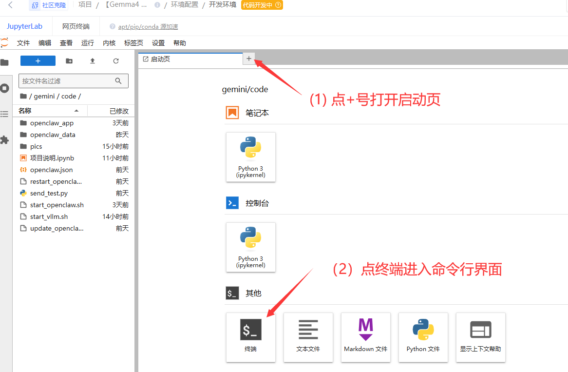[图片]