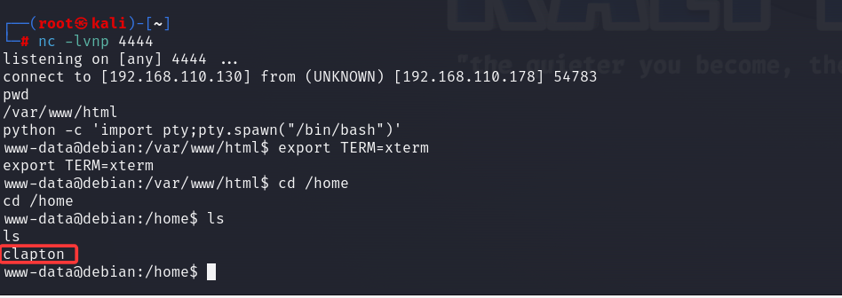 image-20250816103936817