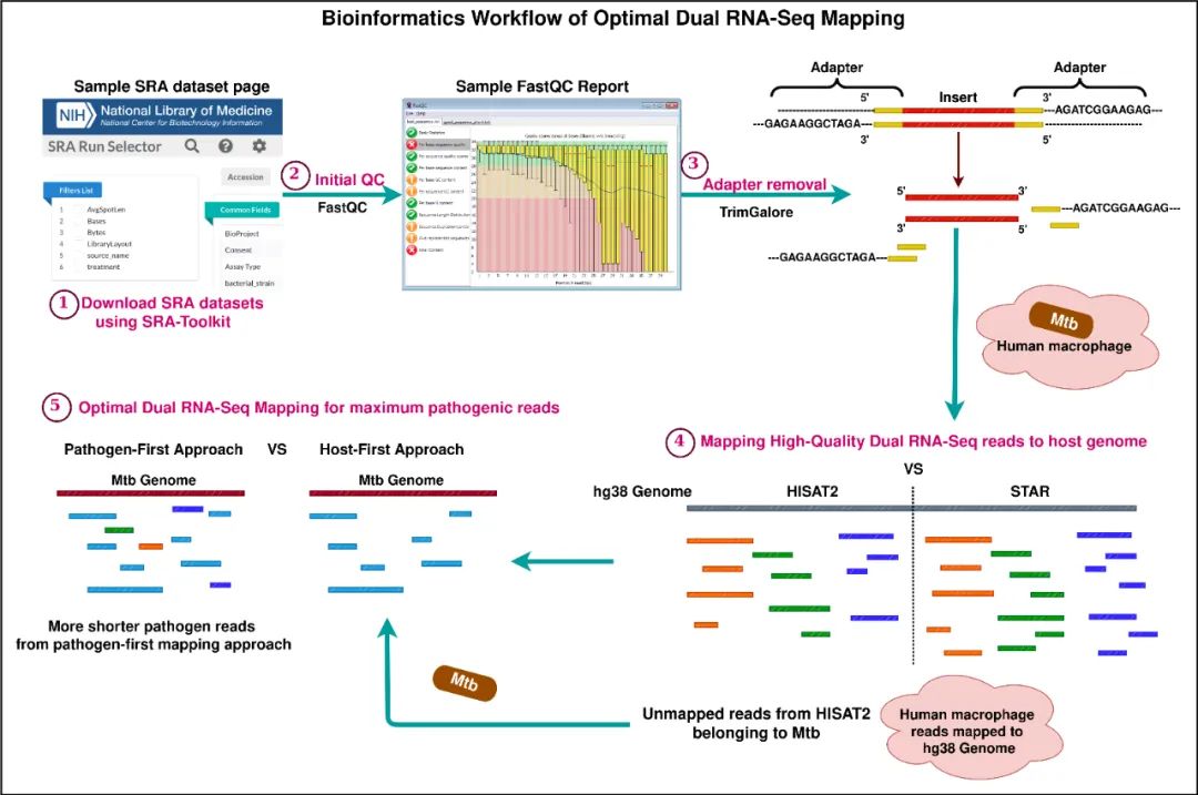 Bio-protocol | 近一年“生物信息”实验方案合集-CSDN博客