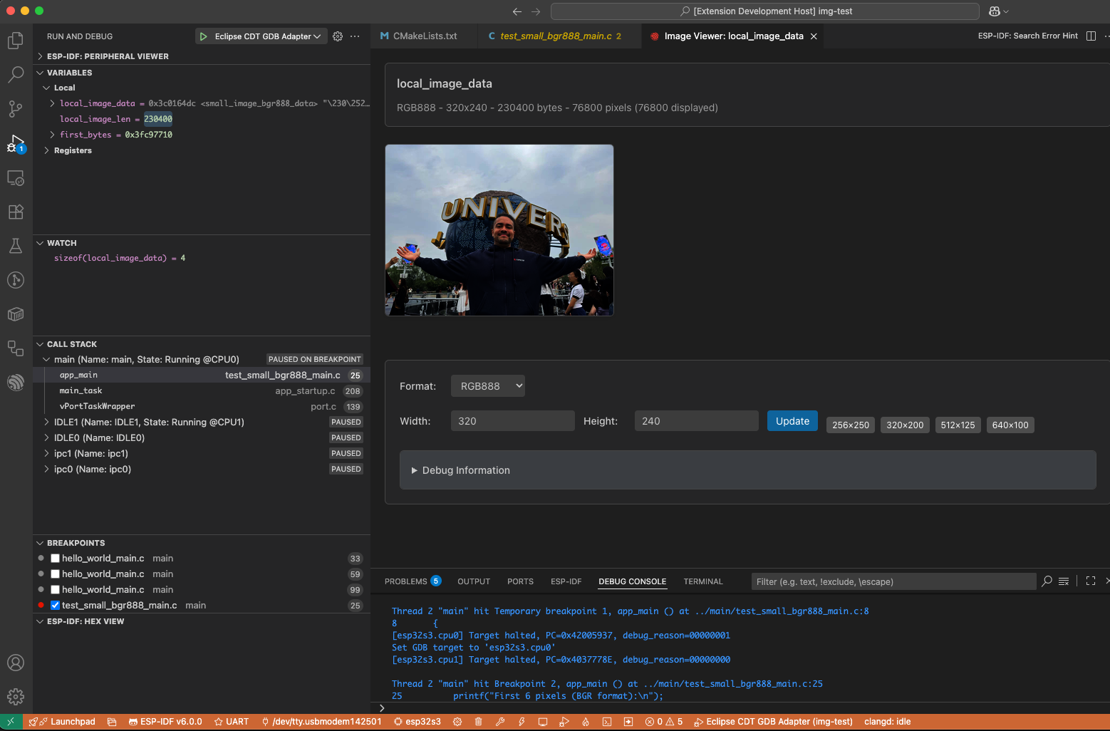 Debug Image Viewer 渲染 C 图像数组