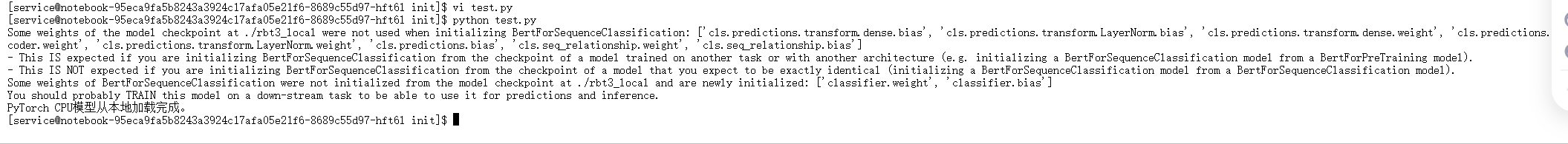 模型加载成功提示